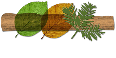 Forêt & Bois de l'Est - Session de formation