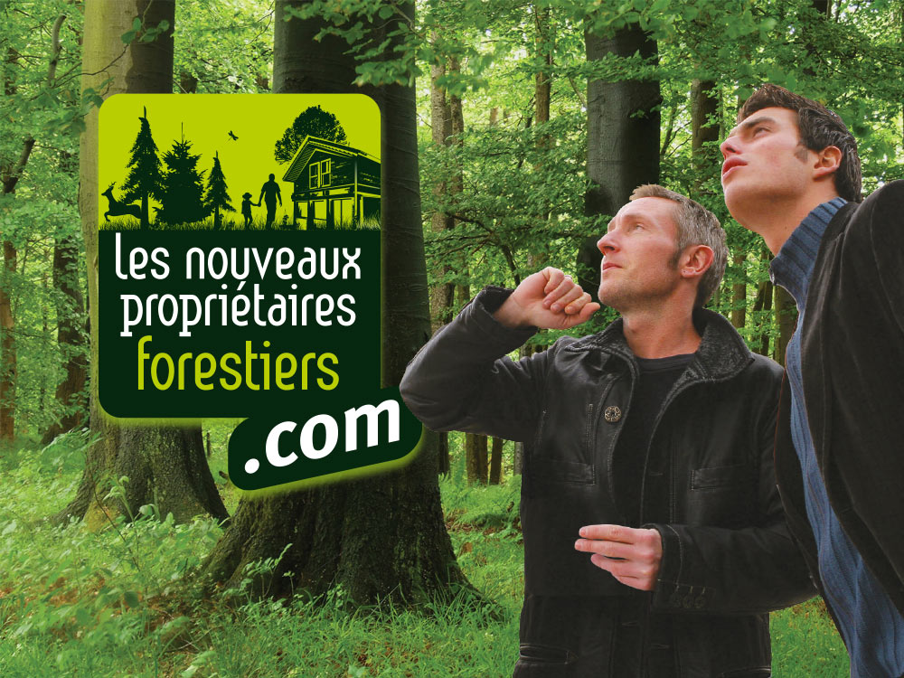 Acheter Foret bois plat chez  