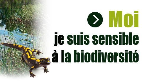 npf fbe profil 05 biodiversite